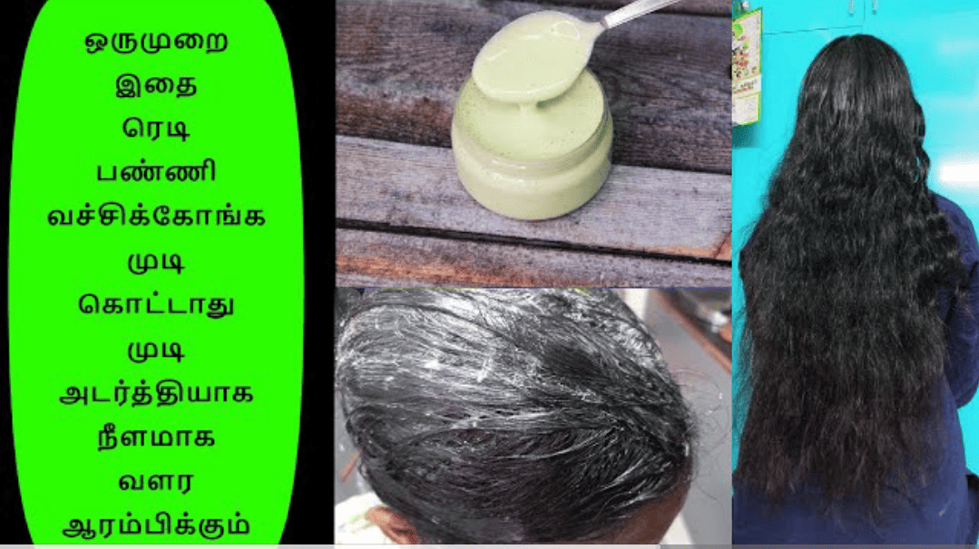 Hairpack For Hair Growth,Hair Growth Tips : இந்த 5 பொருள் போதும்.. முடி  கட்டுக்கடங்காம வளர்ந்துட்டே இருக்குமாம்... நீங்களும் ட்ரை பண்ணி பாருங்க...  - effective remedies ...