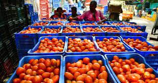 The price of tomatoes is as high as gold!! Public in distress!!
