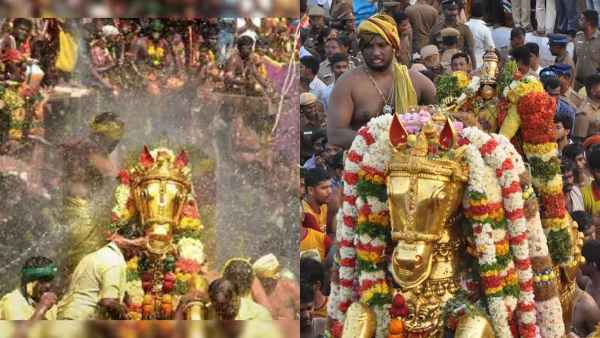 அழகர் கோவில் ஆடித்தேரோட்ட திருவிழா.!! பக்தர்கள் வெள்ளத்தில் மிதந்த ‘கள்ளழகர்’…