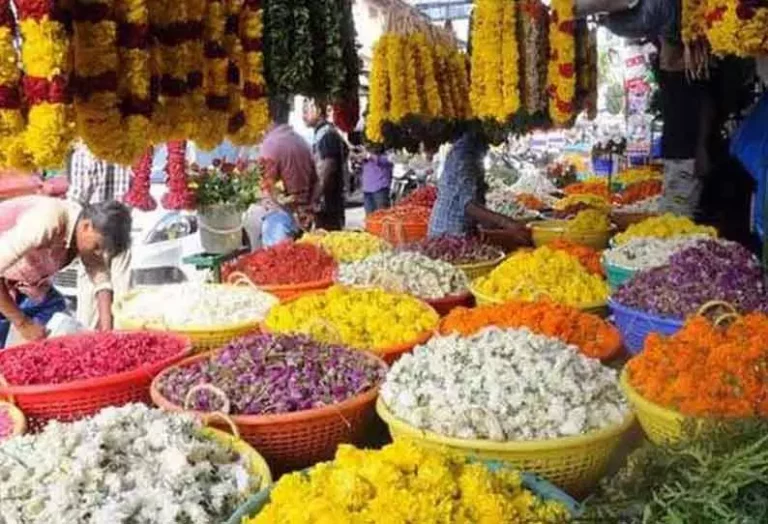Due to the increase in the number of flowers, the price of flowers has increased many times!!
