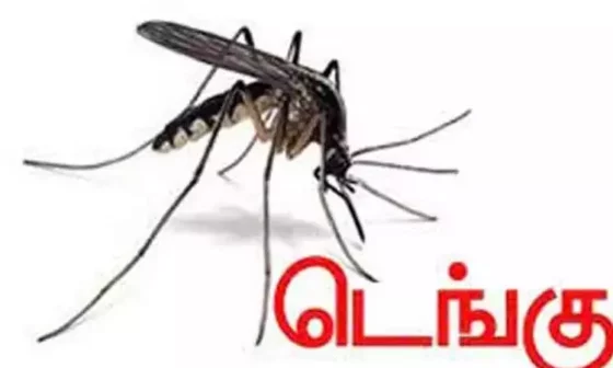 பொதுமக்களுக்கு கடும் எச்சரிக்கை!! வேகமாக பரவிவரும் டெங்குவால் உயிரிழந்த மாணவி !!