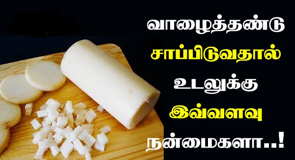 வாழைத்தண்டு சாப்பிடுவதால் உடலுக்கு கிடைக்கும் 5 அசத்தல் நன்மைகள் பற்றி தெரியுமா?