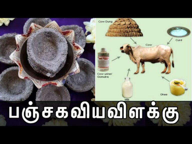 கோடி மகிமையை தரும் பஞ்சகவ்ய விளக்கு – தயாரிக்கும் முறை!