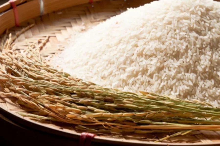 உச்சத்தை தொட்ட அரிசி விலை – சாமானியனின் நிலை ?
