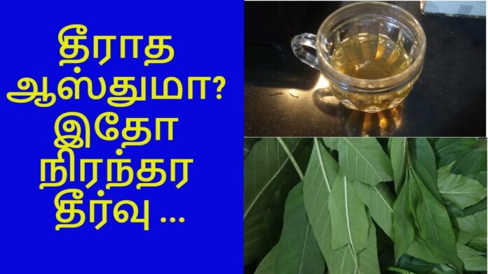 Home Remedies to Get Rid of Asthma