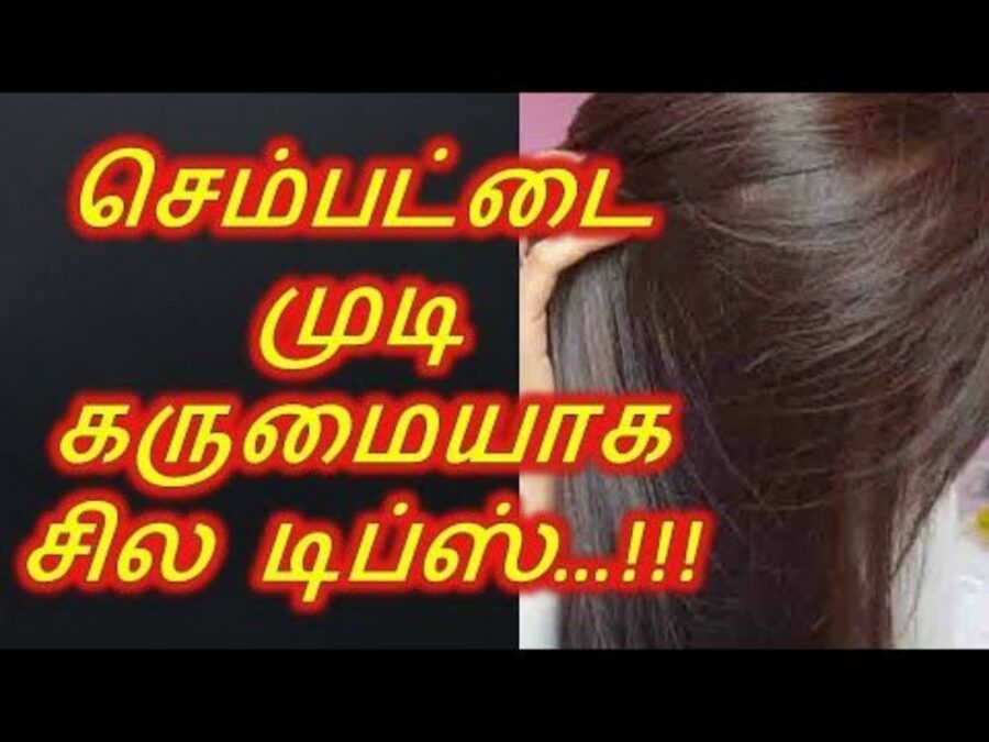 வெள்ளை மற்றும் செம்பட்டை முடி கருப்பாக மாற இதை ஒருமுறை மட்டும் தடவுங்கள் போதும்!!