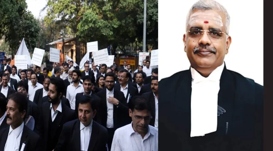 தமிழை வழக்காடு மொழியாக பிறப்பிக்க வலியுறுத்தி வழக்கறிஞர்கள் தொடரும் உண்ணாவிரதம்!!