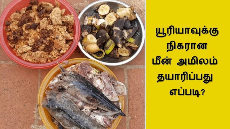 காய்கறி பயிர்கள் செழித்து வளர “மீன் அமினோ அமிலம்” பயன்படுத்துங்கள்!!