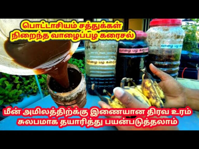 பழ கரைசல்: உங்கள் தோட்டத்தில் உள்ள செடிகள் செழிப்பாக வளர இது ஒன்று போதும்!