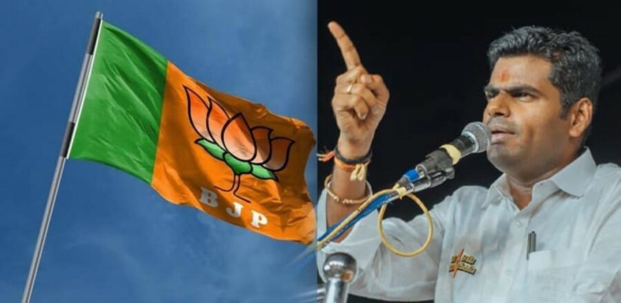 நாடாளுமன்ற தேர்தலில் போட்டியிடுகிறாரா மாநில பாஜக தலைவர் அண்ணாமலை?