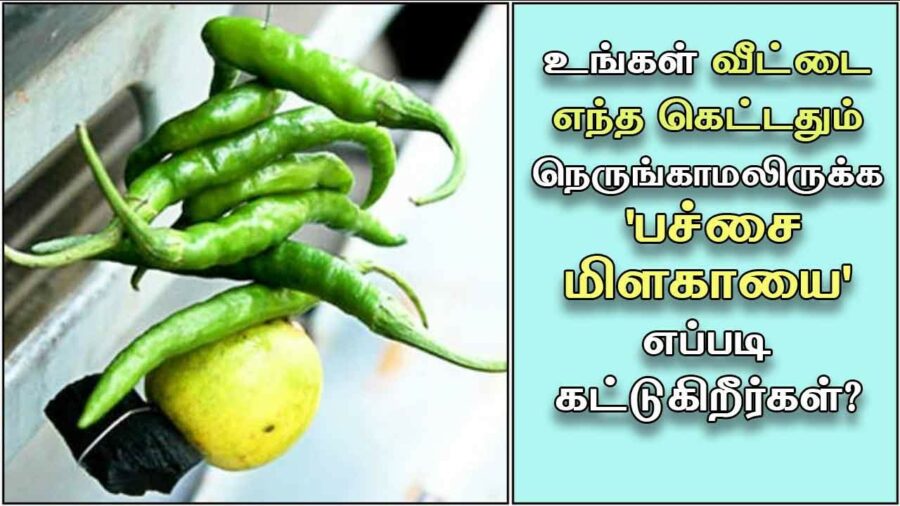 “எலுமிச்சம் பழம் + பச்சை மிளகாய்” இருந்தால் தீராத கண் திருஷ்டியும் ஒழிந்து போகும்!!