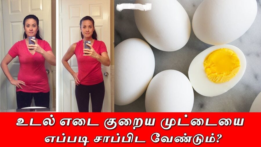 முட்டையை இப்படி சாப்பிடுங்கள் உடல் எடை சட்டுனு குறையும்!! உடனே தெரிந்து கொள்ளுங்கள்!!