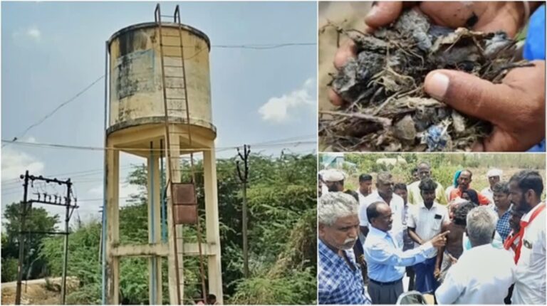 Cow dung was not mixed in the drinking tank.. People were shocked by the results of the study!!