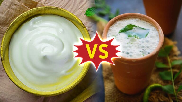 Yogurt that increases body heat!! Who can eat.. how to eat??