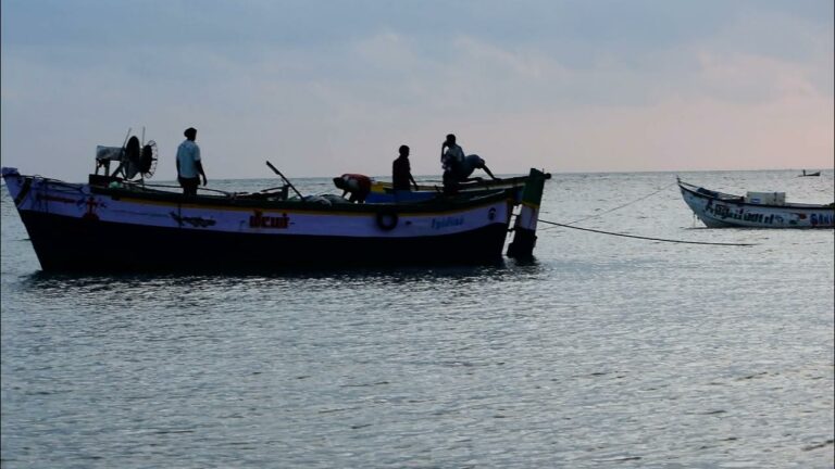 The fishing season has started!! The price of fish will go up!!