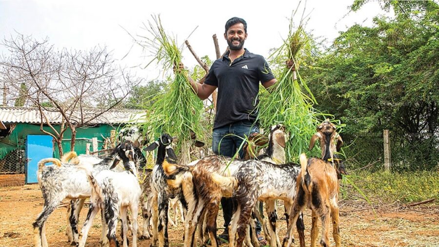 காவலர் பணியை தூக்கியெறிந்து ஆட்டுப்பண்ணையில் சாதித்த இளைஞர்..!!