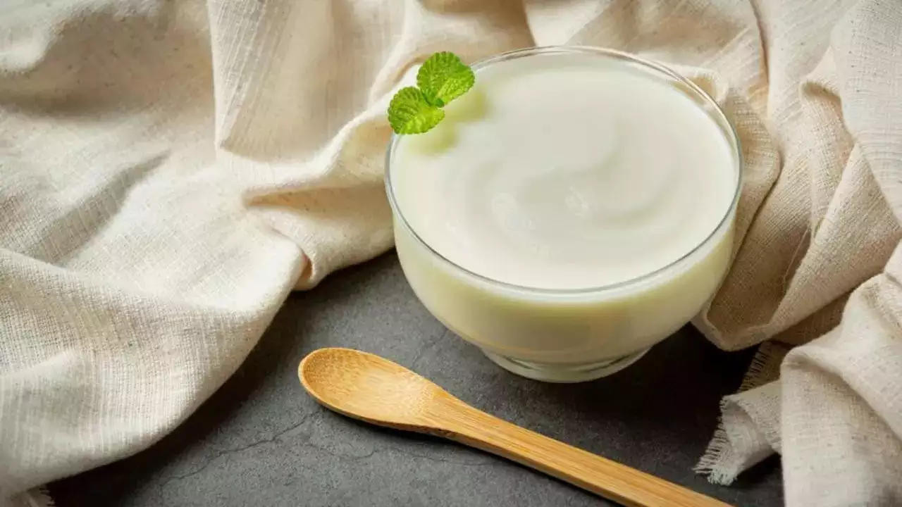 These tips will help keep yogurt from fermenting for up to 3 days in summer!