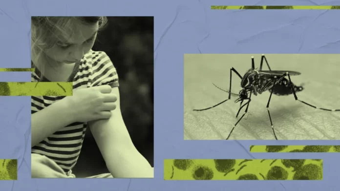 Dengue fever is spreading again!! Symptoms and ways to cure it!!