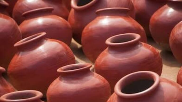 Benifts of Clay Pot