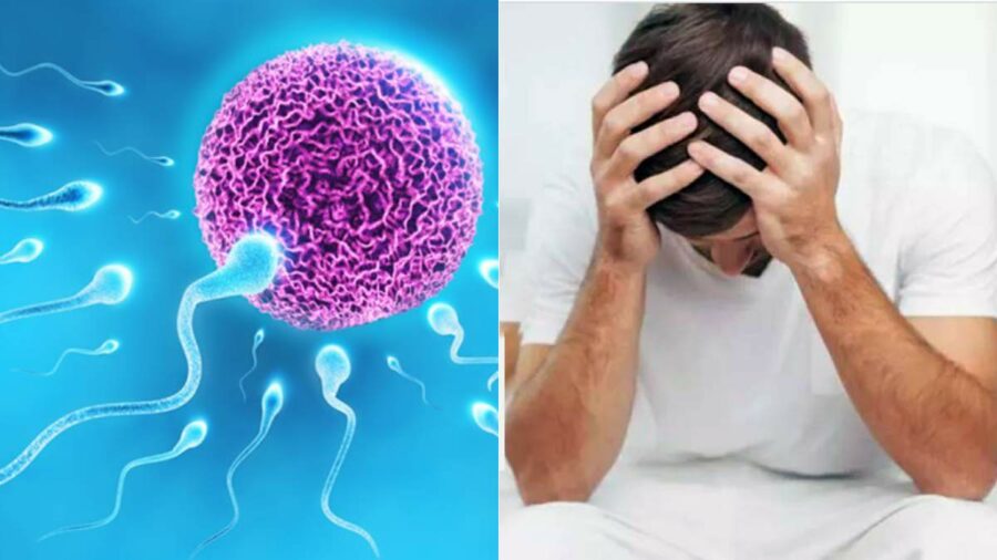 விந்தணுக்களின் எண்ணிக்கை அதிகரிக்க வேண்டுமா? ஆண்களே பேரீச்சம்பழத்தை இப்படி சாப்பிடுங்க!