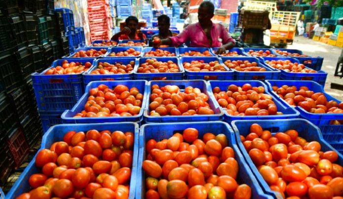 The price of tomatoes started rising like gold! Do you want to use it again and again?