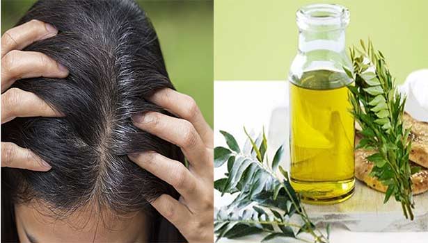 Herbal Hair Oil: Hair loss, gray hair, dandruff.. Want a solution for all problems in one oil?