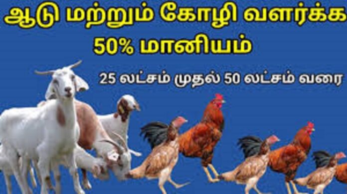 Goat breeders apply immediately.. 2,00,000 with 50% subsidy given by central government!!