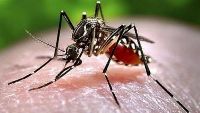 2 people died of a new virus spread by mosquitoes!! World countries in shock!!