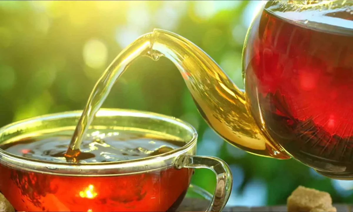 Are you a daily green tea drinker? How many cups can you drink a day?