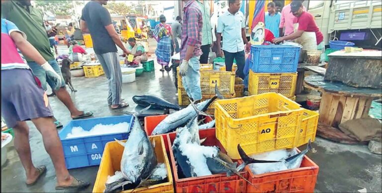 A fish costs 24000 rupees The incident happened in Andhra Pradesh People in wonder