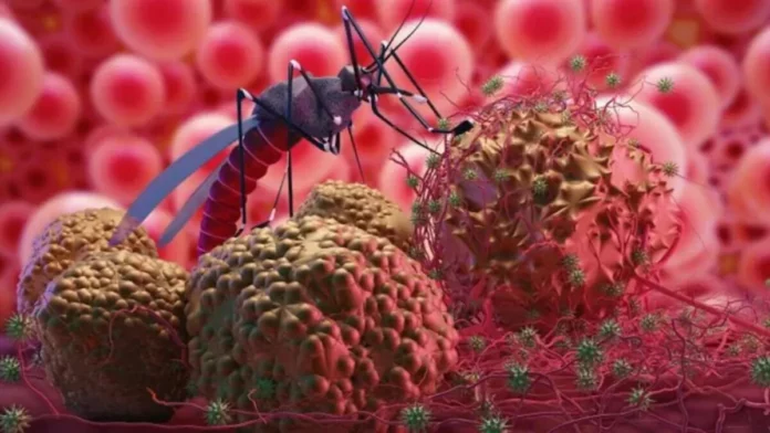 How to prevent the deadly dengue malaria and swine flu?