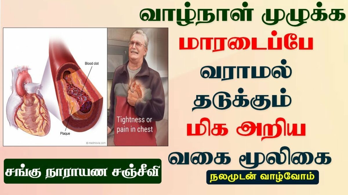 Just three grapes are enough to prevent lifelong heart disease!