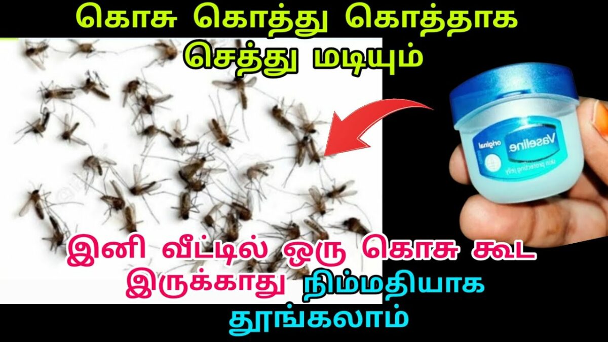 No more all out mosquito repellent!! Just do this and you won't get even 1 mosquito in your house!!