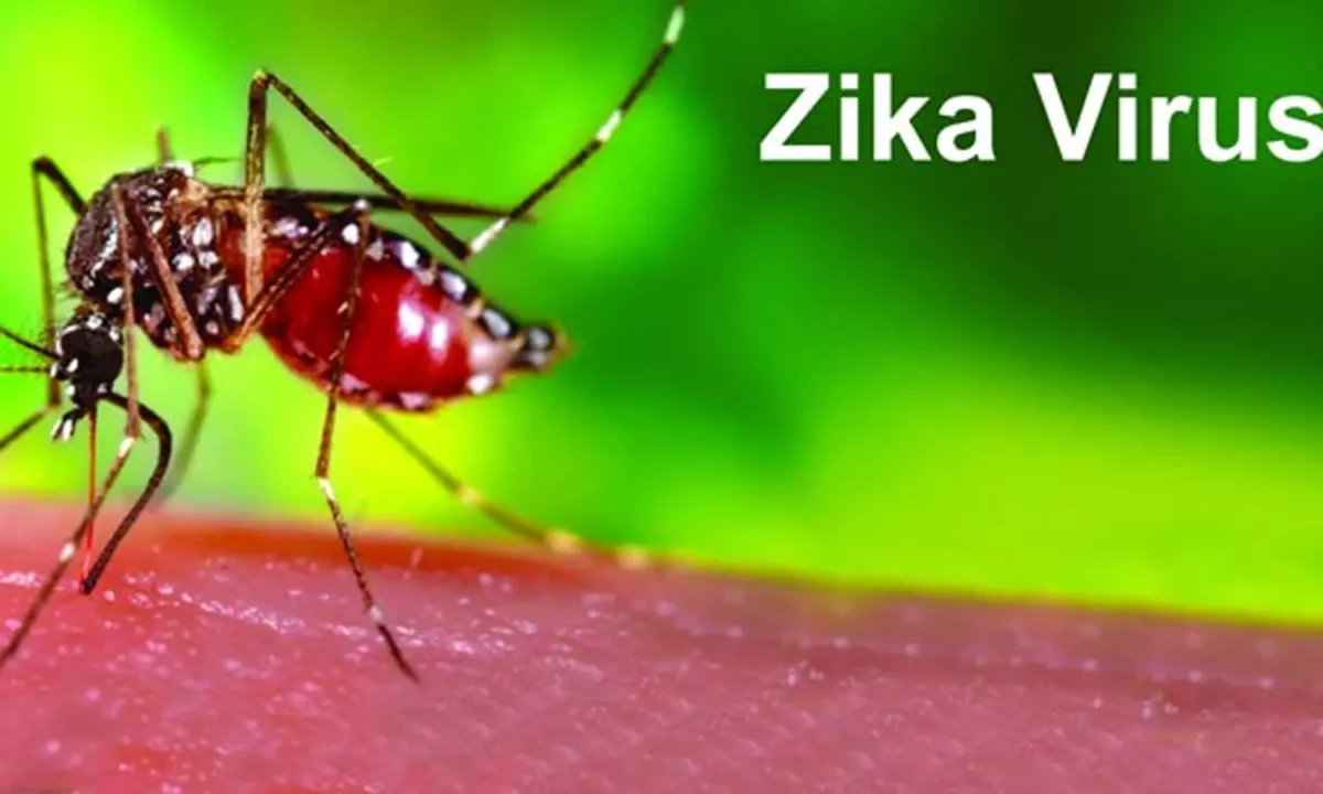 If you are infected with Zika virus, there will be only Indian symptoms in the body.. People beware!!