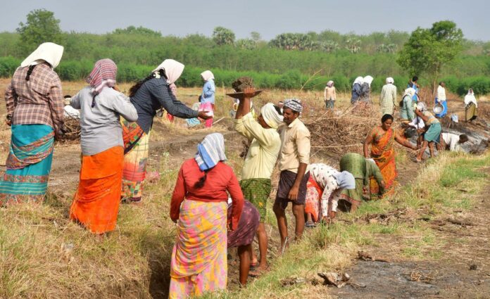 FLAS: Amazing Tamil Nadu.. Important information about 100 day work plan!!