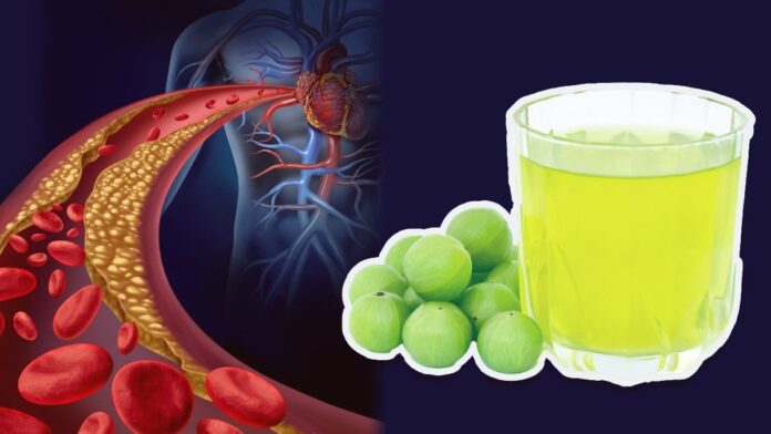 10 Big Changes in the Body by Drinking One Glass of Gooseberry Juice Daily!!