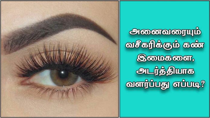 Use 1 drop of coconut oil like this to grow thicker eyelashes!!