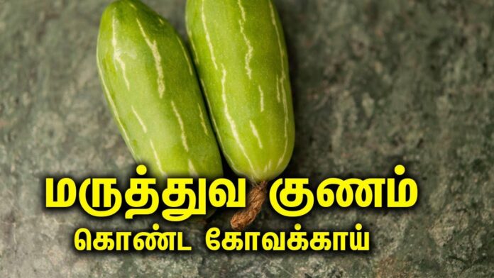 Amazing medical benefits of courgette!! These diseases no longer require pills!!