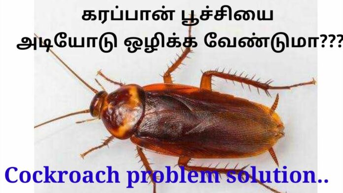 Need a permanent solution to a cockroach infestation? Then try this home remedy!!