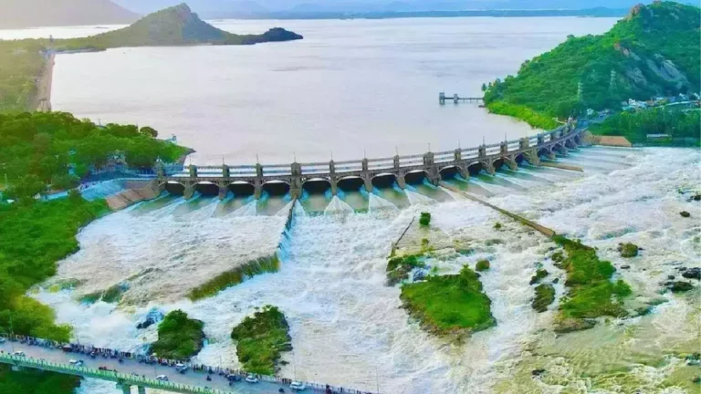 Dog stuck in the middle of Mettur Dam for 3 days!! Undiscovered rescuers!!