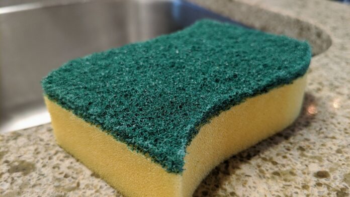 Those who use sponges in the kitchen, don't make this mistake! It will be life threatening!!