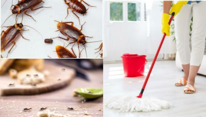 If you mix this one thing with water and sweep the house.. the floor will shine!! Try it!!