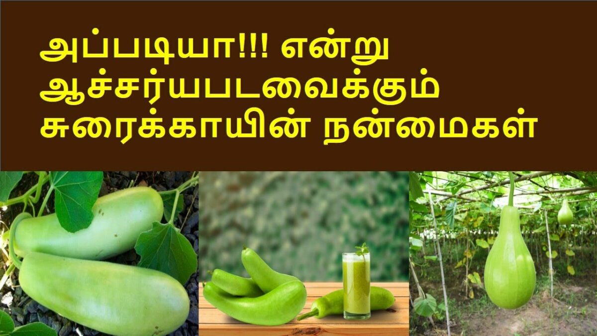 From Diabetes to Constipation.. Using Zucchini in this way is 100% solution for sure!!