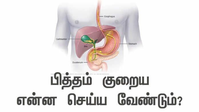 Bile increased? This 1 drink is enough to get 100% solution!!