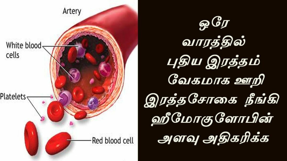 Just take this in your diet to increase hemoglobin in 1 week!!