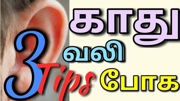 Just one betel nut is enough to get instant relief from tinnitus in the ears!!