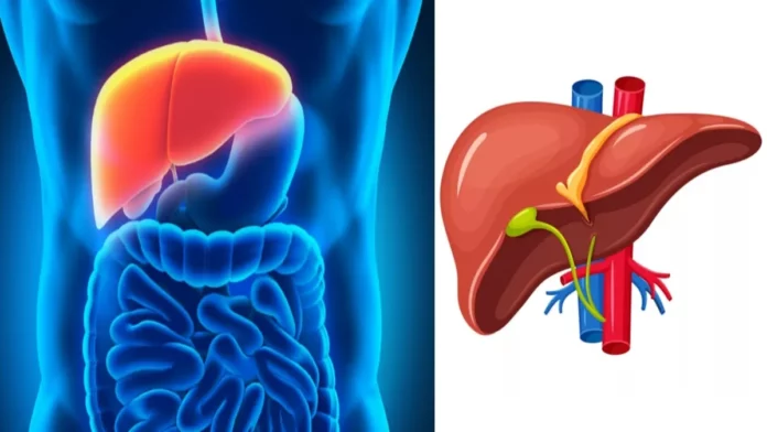 If you have these habits your liver will not work!! Warning!!