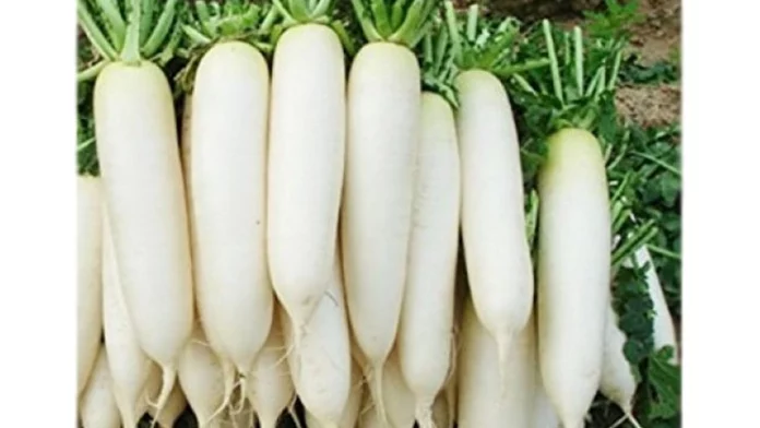 Do you eat radish? Then don't forget to eat these foods!!