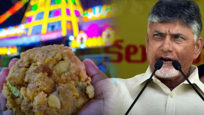 Is Tirupati lad mixed with animal fat? Andhra Chief Minister Chandrababu Naidu Bhagir Information!