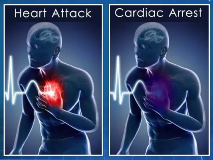 Heart Attack Vs Cardiac Arrest: What's the Difference?